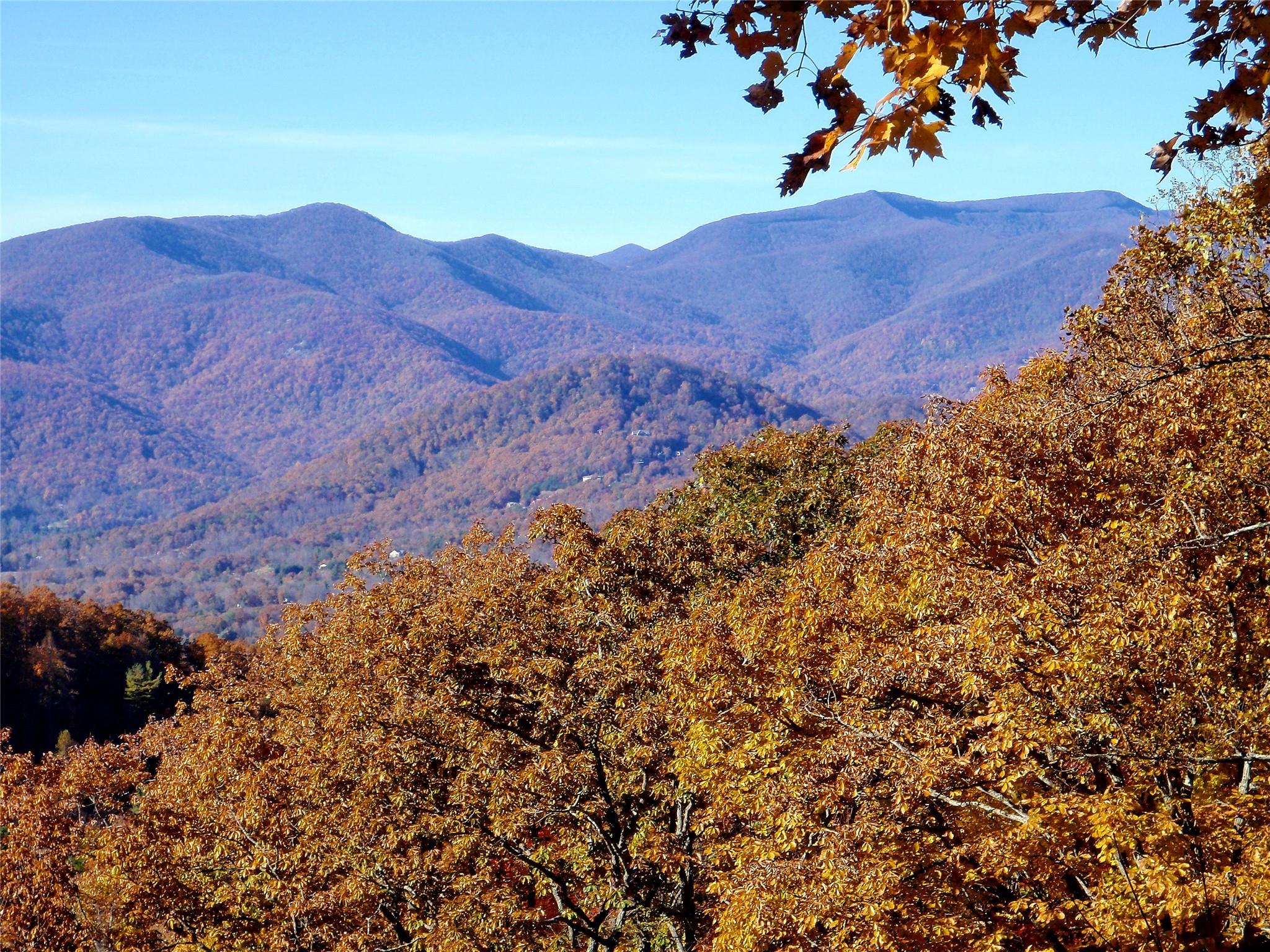 The Settings Of Black Mountain - Land