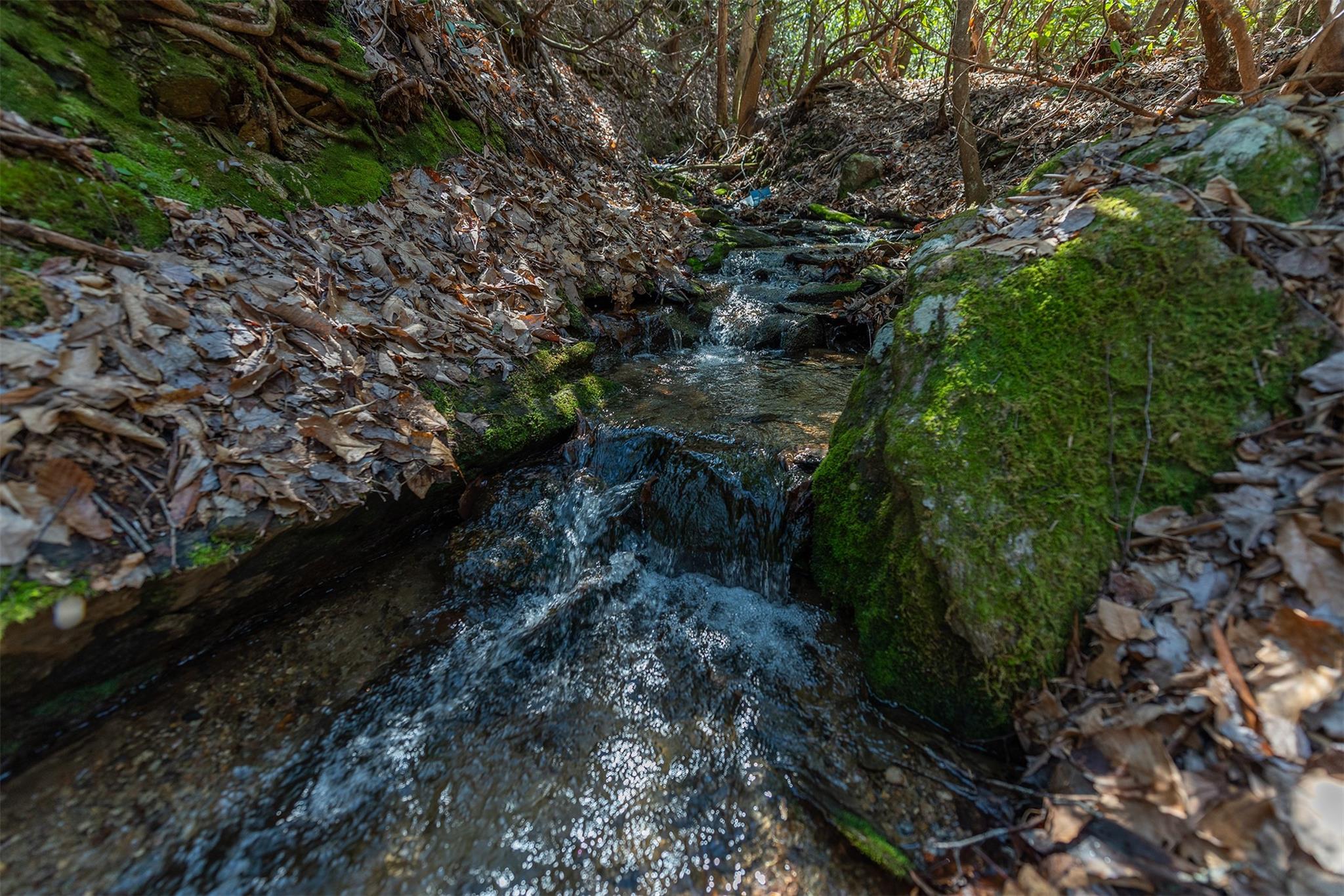 The Settings Of Black Mountain - Land