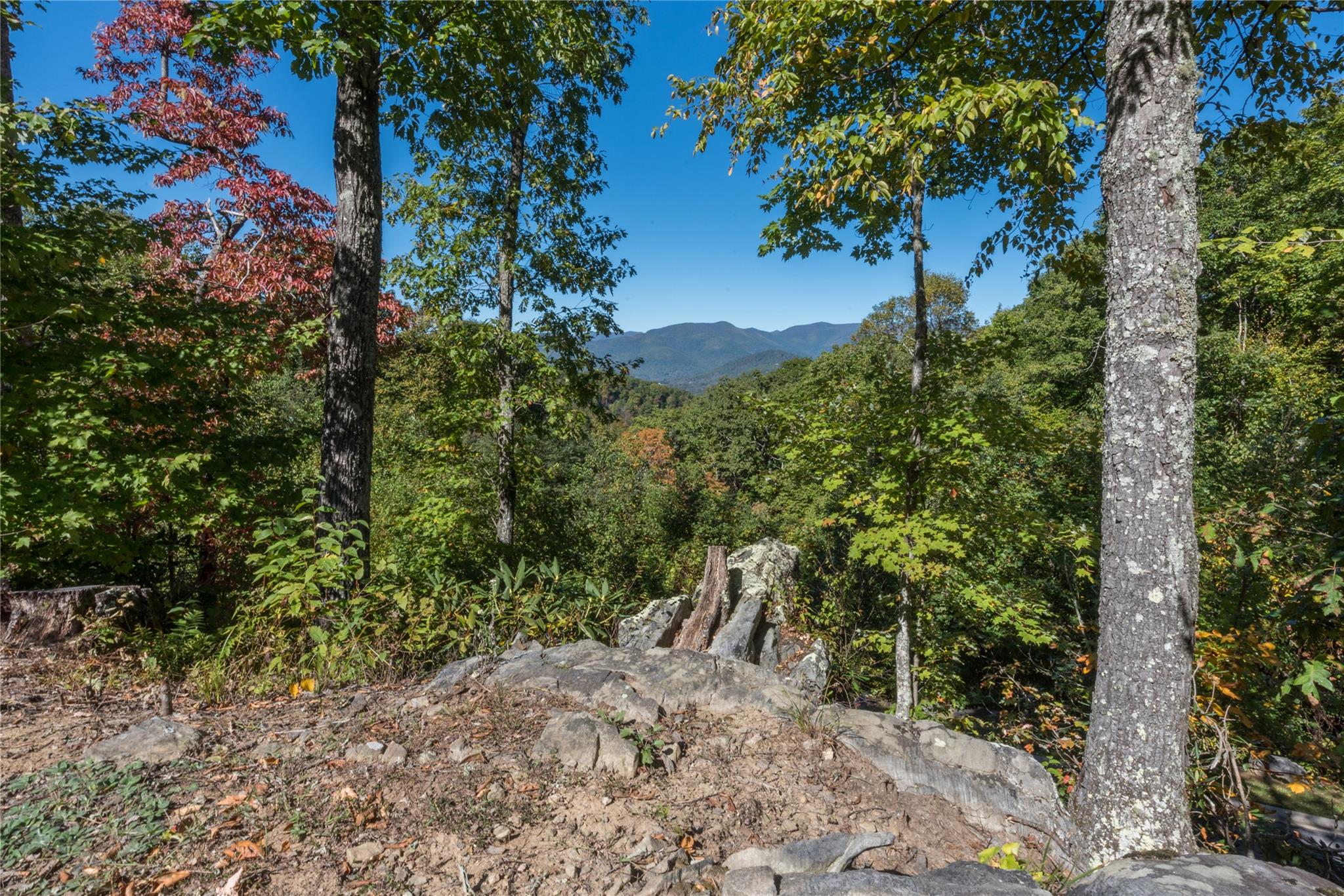 The Settings Of Black Mountain - Land