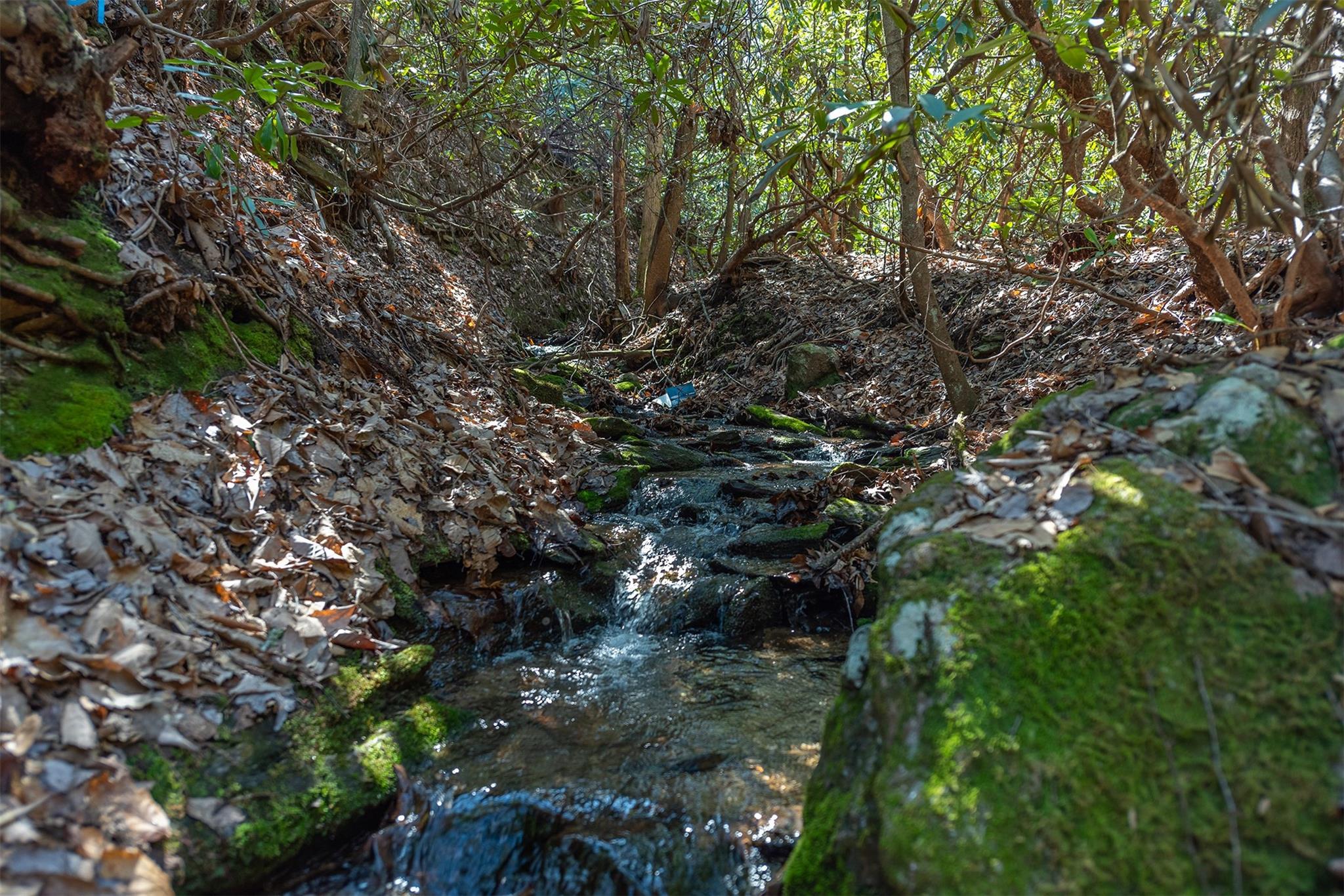 The Settings Of Black Mountain - Land