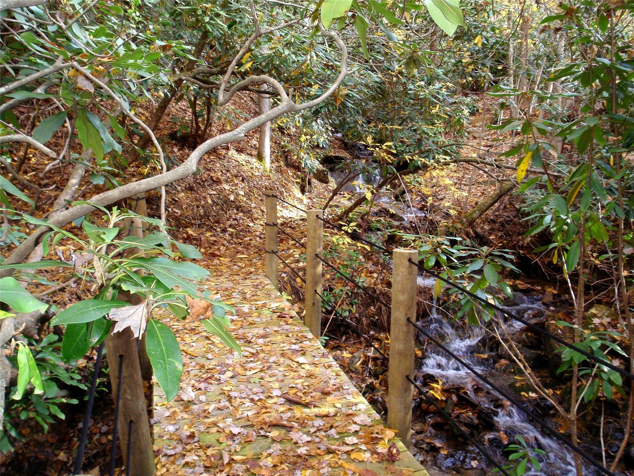 The Settings Of Black Mountain - Land