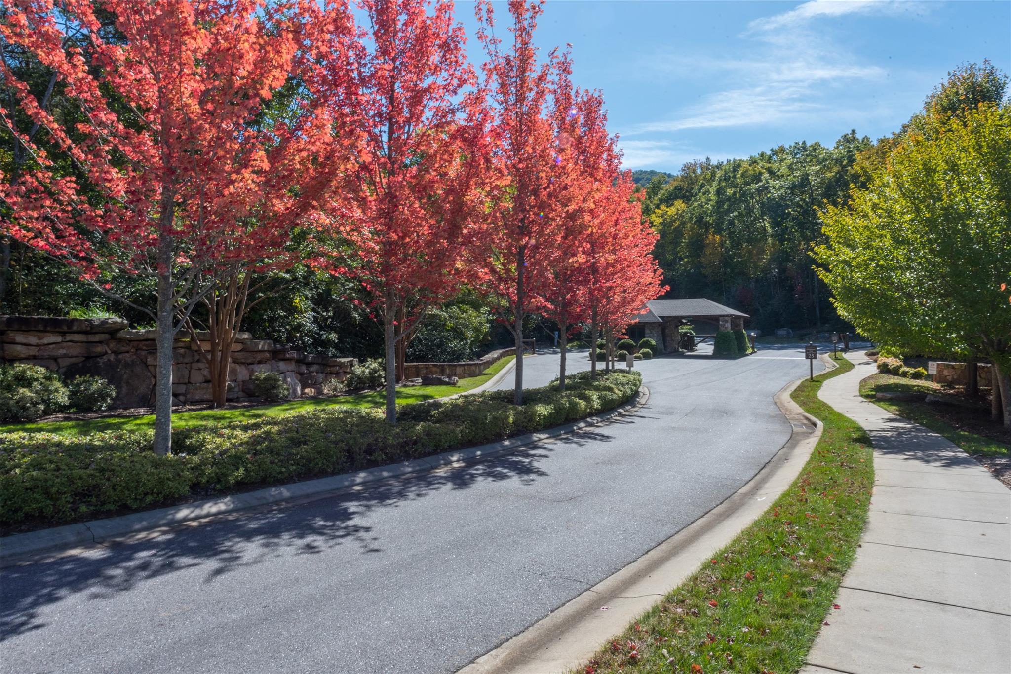 The Settings Of Black Mountain - Land