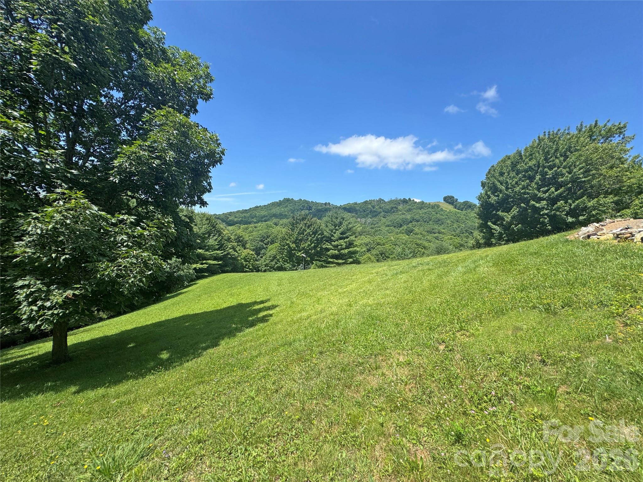 299 Basswood Road