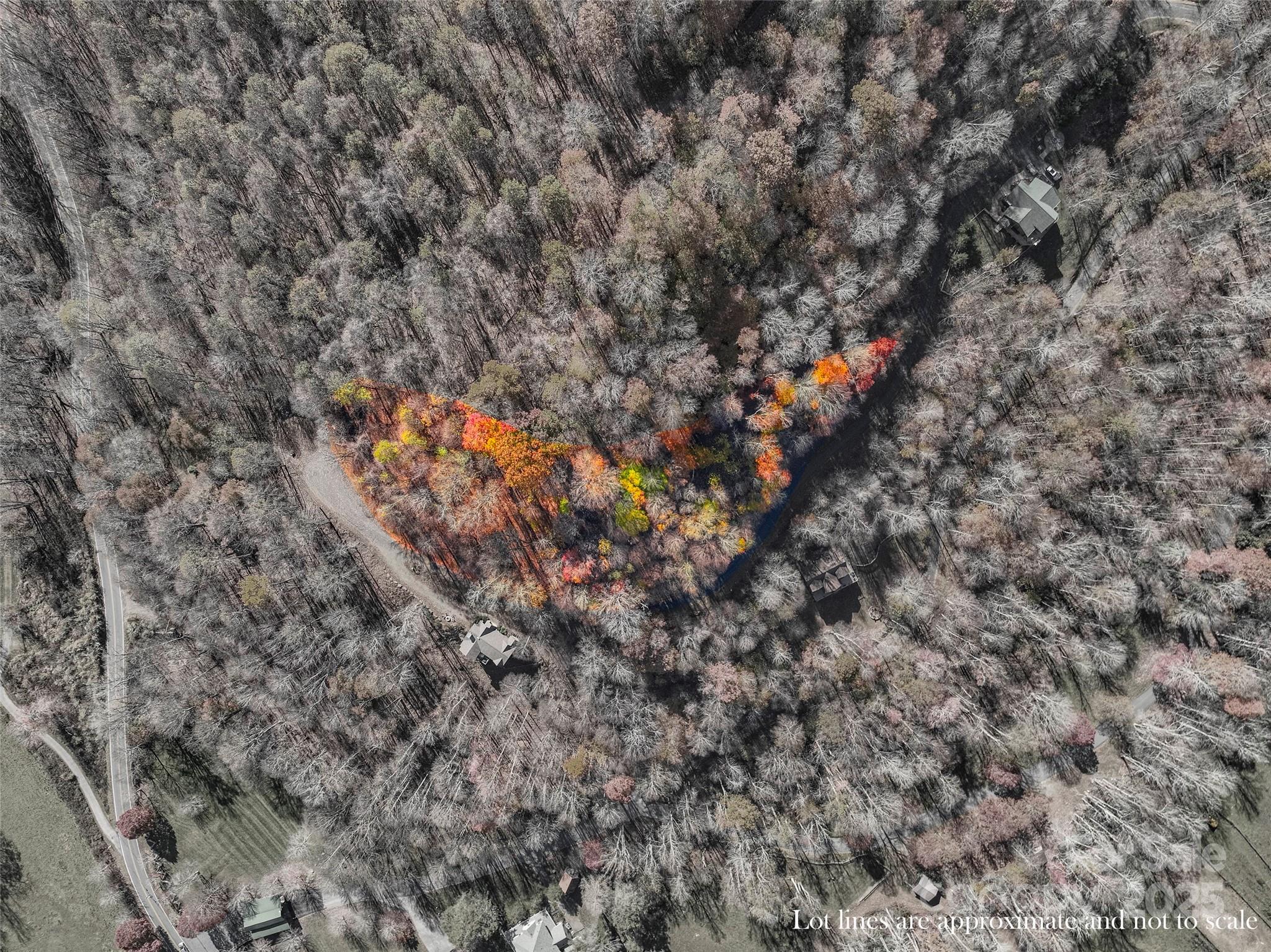 The Preserve at Wolf Laurel - Land