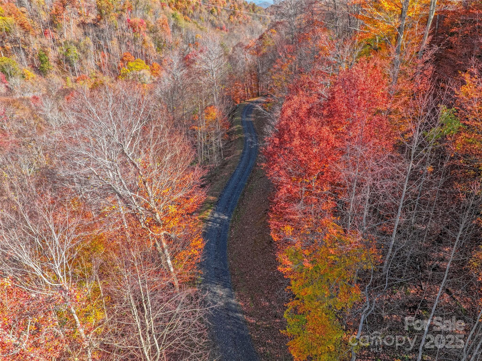 The Preserve at Wolf Laurel - Land