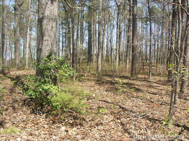 Uwharrie Point - Land