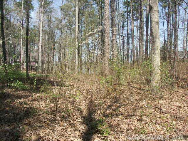 Uwharrie Point - Land
