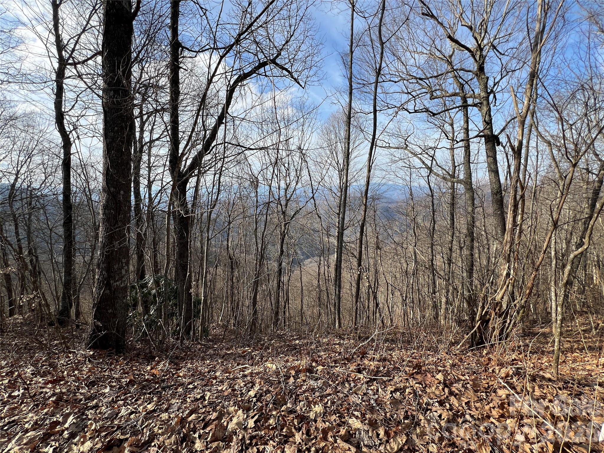 24/26 Butterfly Path 24/26