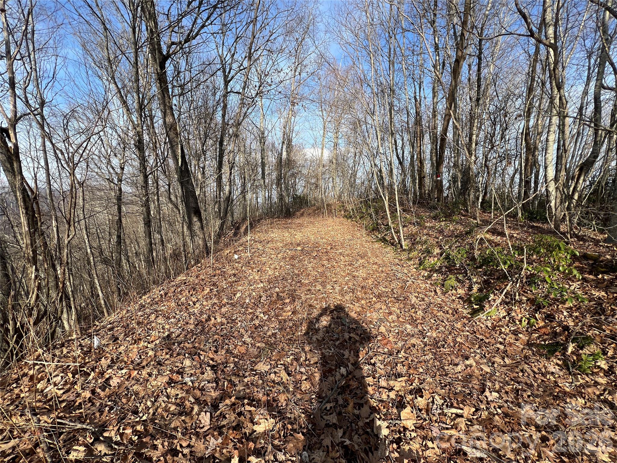 24/26 Butterfly Path 24/26