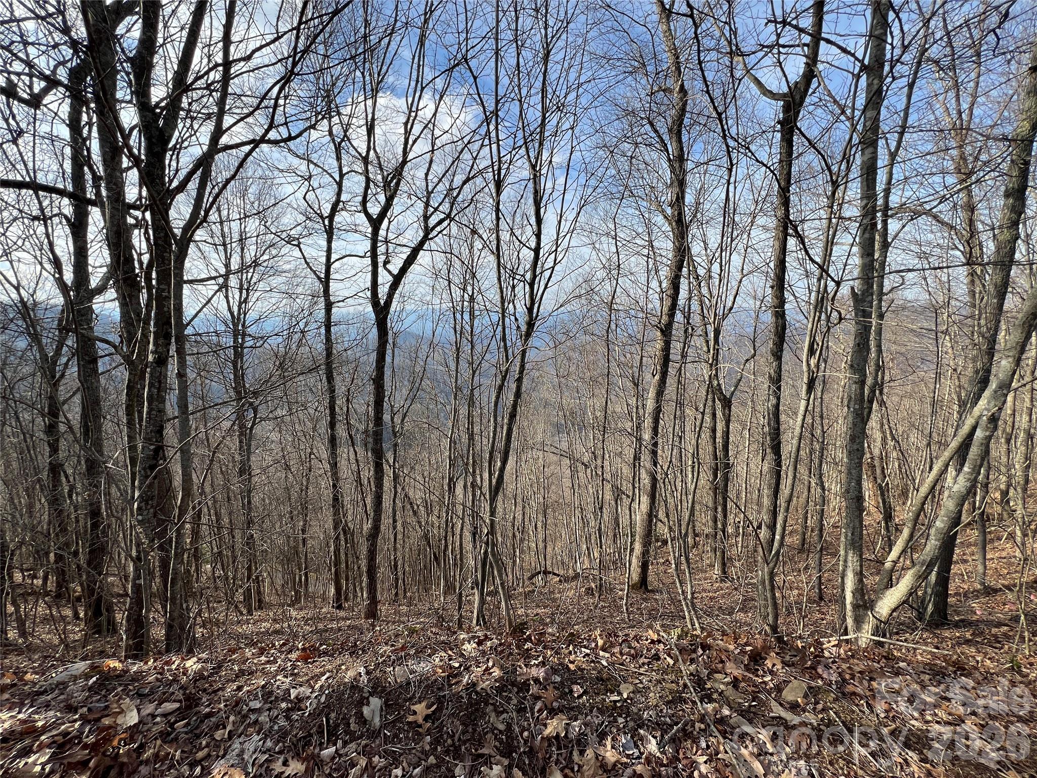 Cowee Mountain Properties - Land