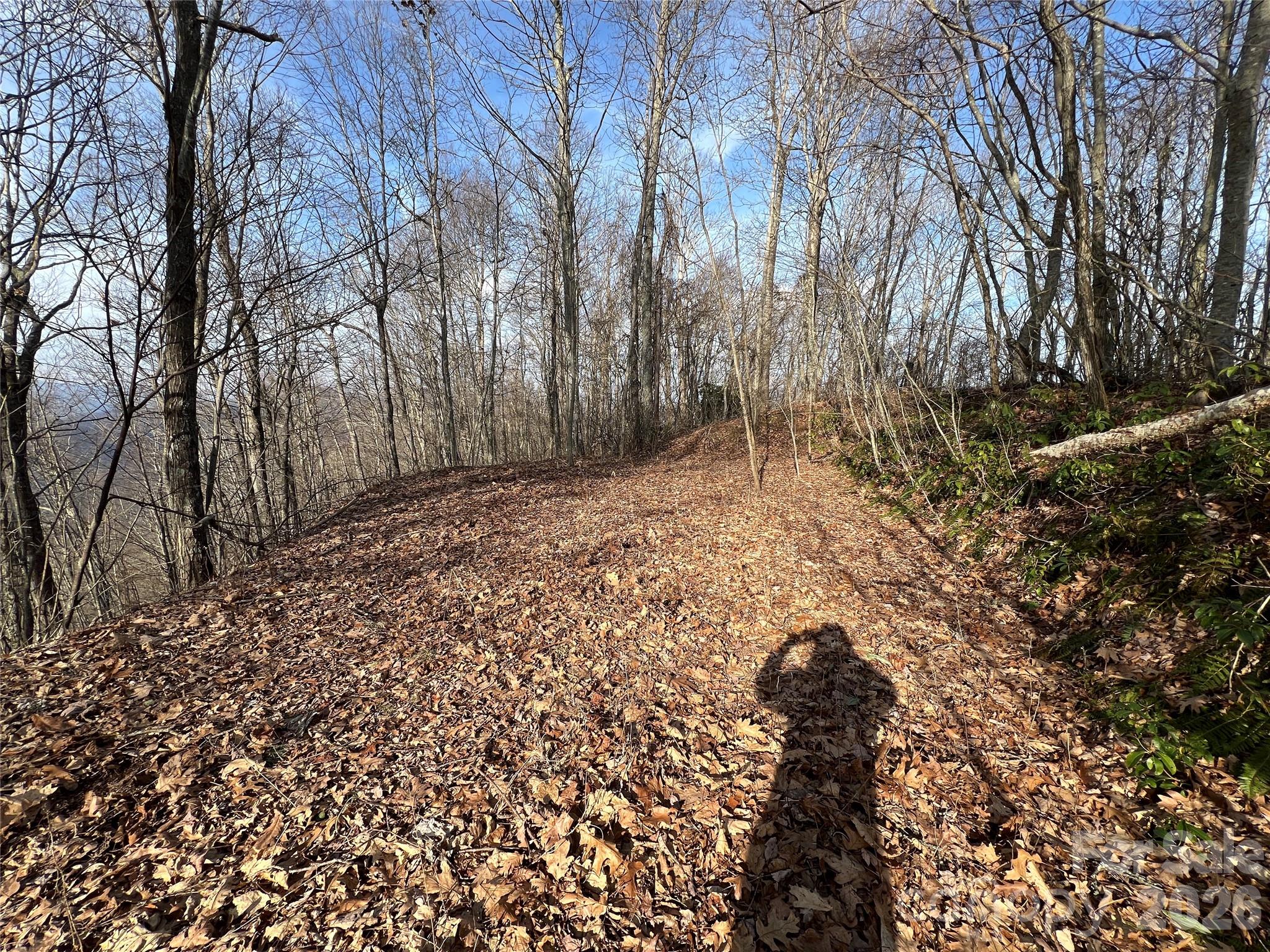 24/26 Butterfly Path 24/26