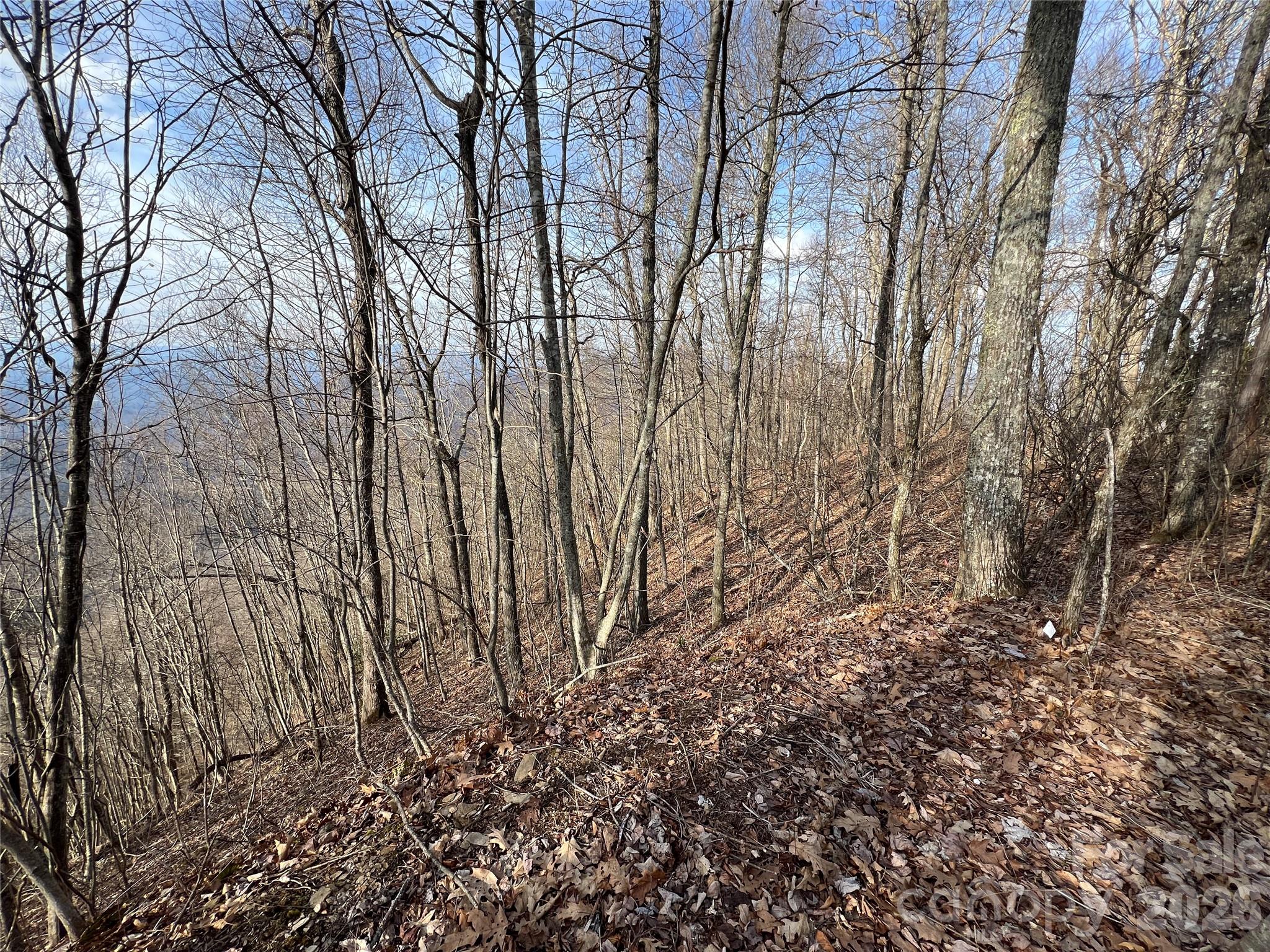 Cowee Mountain Properties - Land