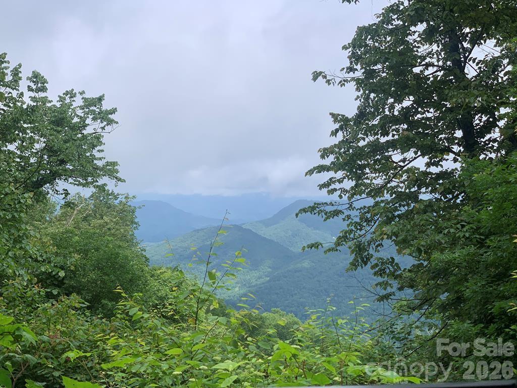 Cowee Mountain Properties - Land