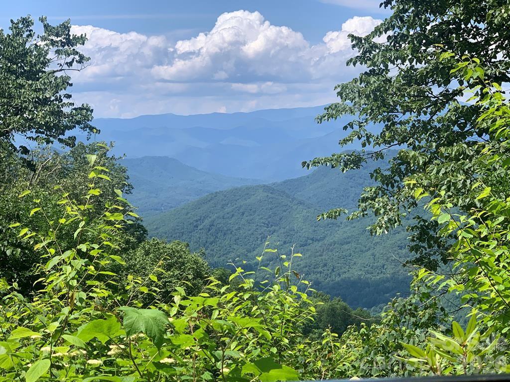Cowee Mountain Properties - Land