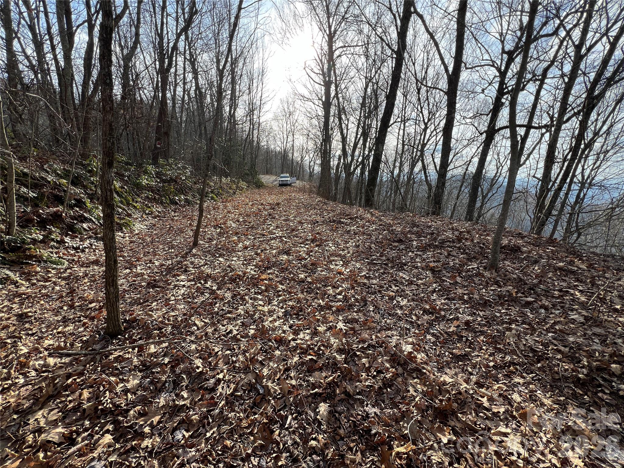 Cowee Mountain Properties - Land
