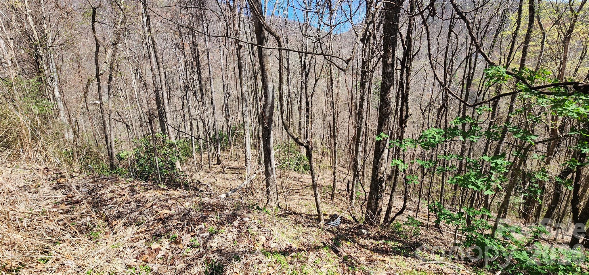 Villages Of Plott Creek - Land