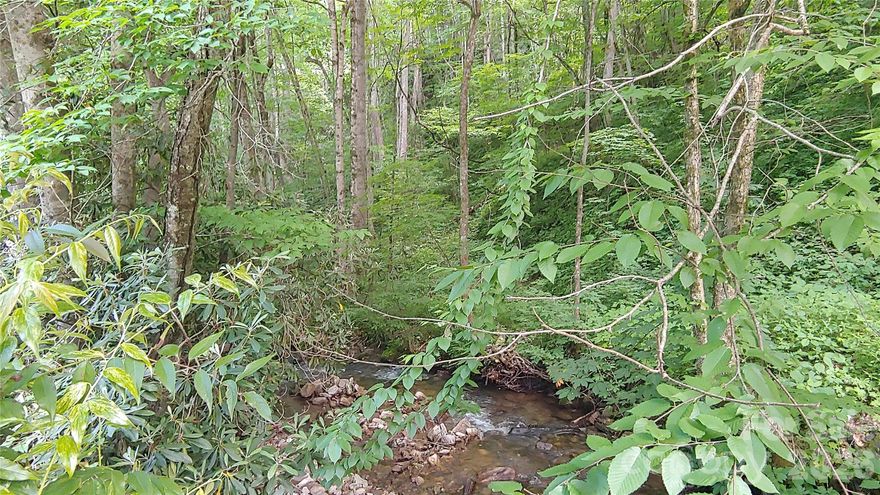 A rare find.  Large 5 acre tract with a gentle creek running along bottom of the property.  Beautifully wooded lot with paved access.  Depending on the build site, this lot can provide stunning mountain views or views of the babbling creek.  Villages of Plott Creek is a gated community with hiking trails and picnic pavilion. Downtown Waynesville and the Blue Ridge Parkway are only minutes away.  Sellers are motivated and will consider all offers.