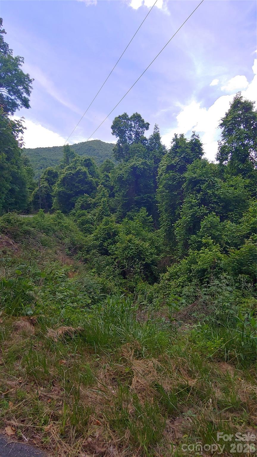 Villages Of Plott Creek - Land