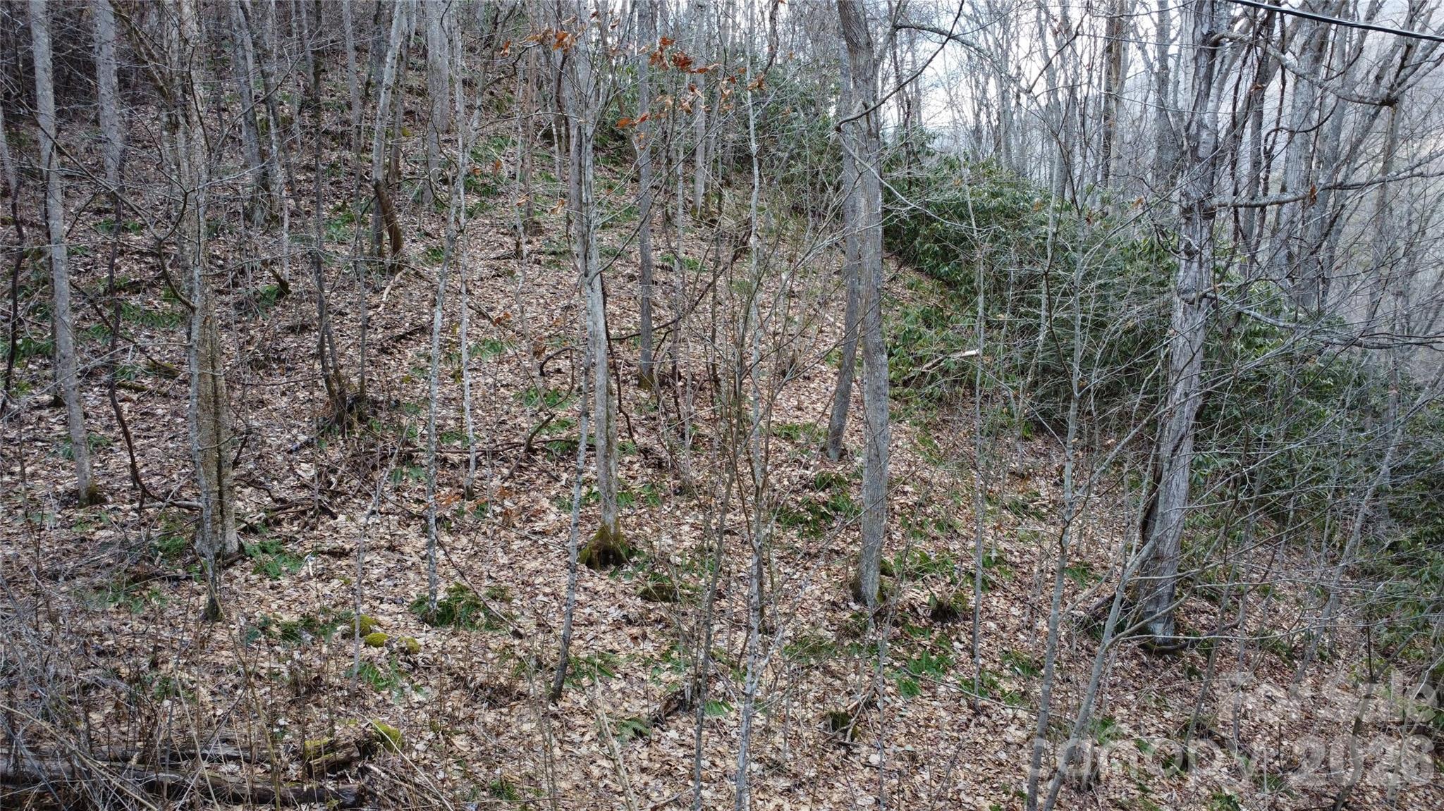 Villages Of Plott Creek - Land