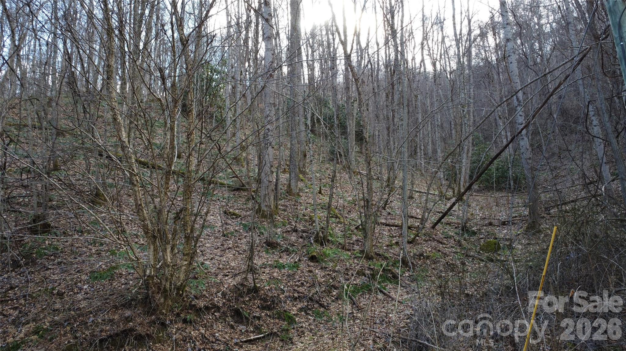 Villages Of Plott Creek - Land