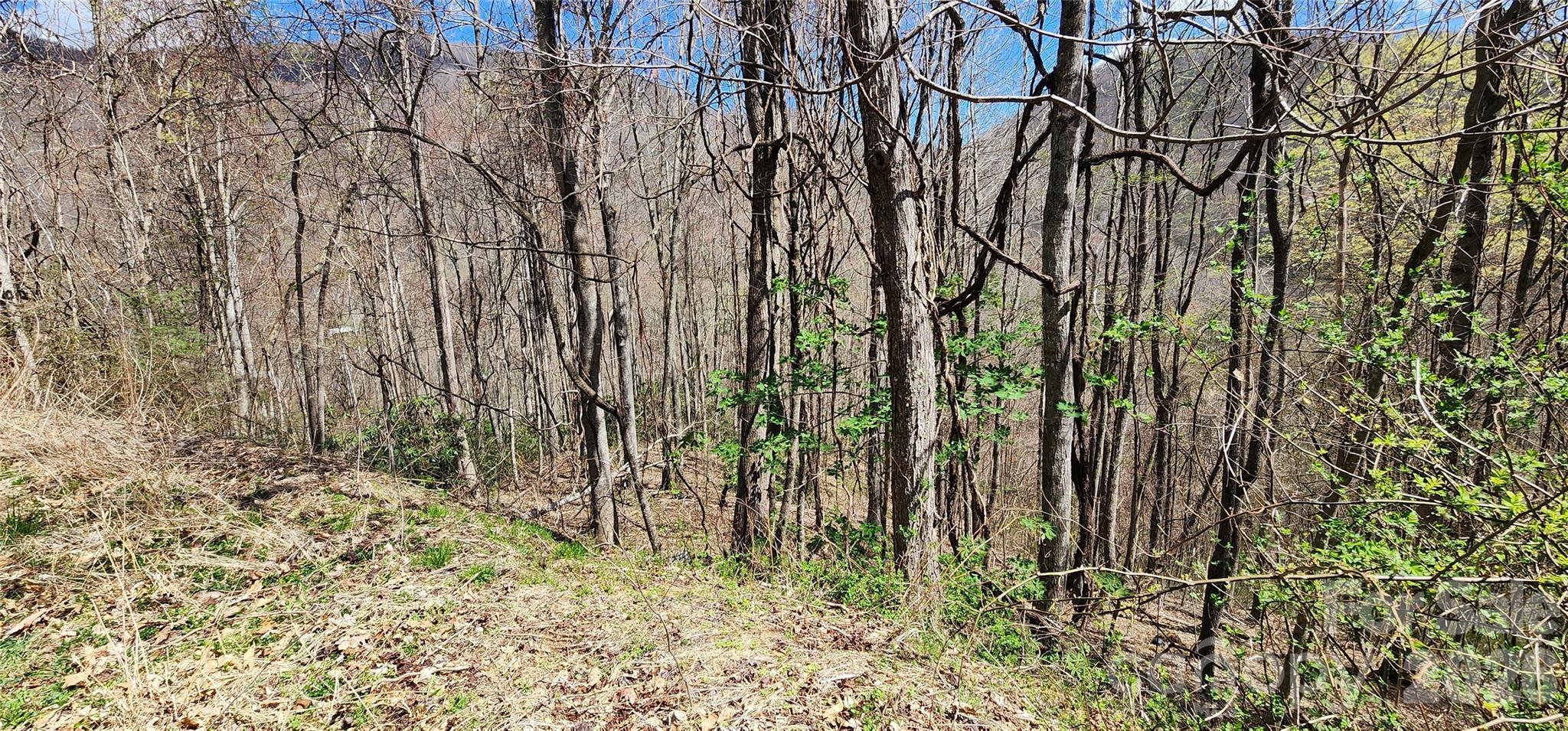 Villages Of Plott Creek - Land