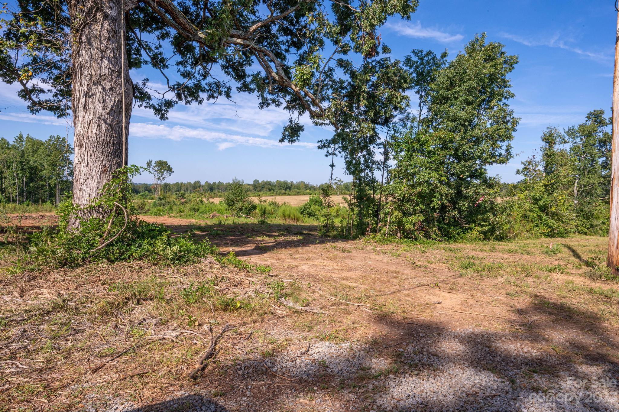 McCurry Farms - Land