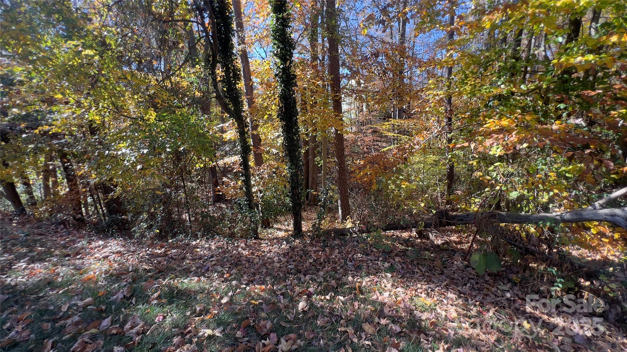 Rossmore - Residential