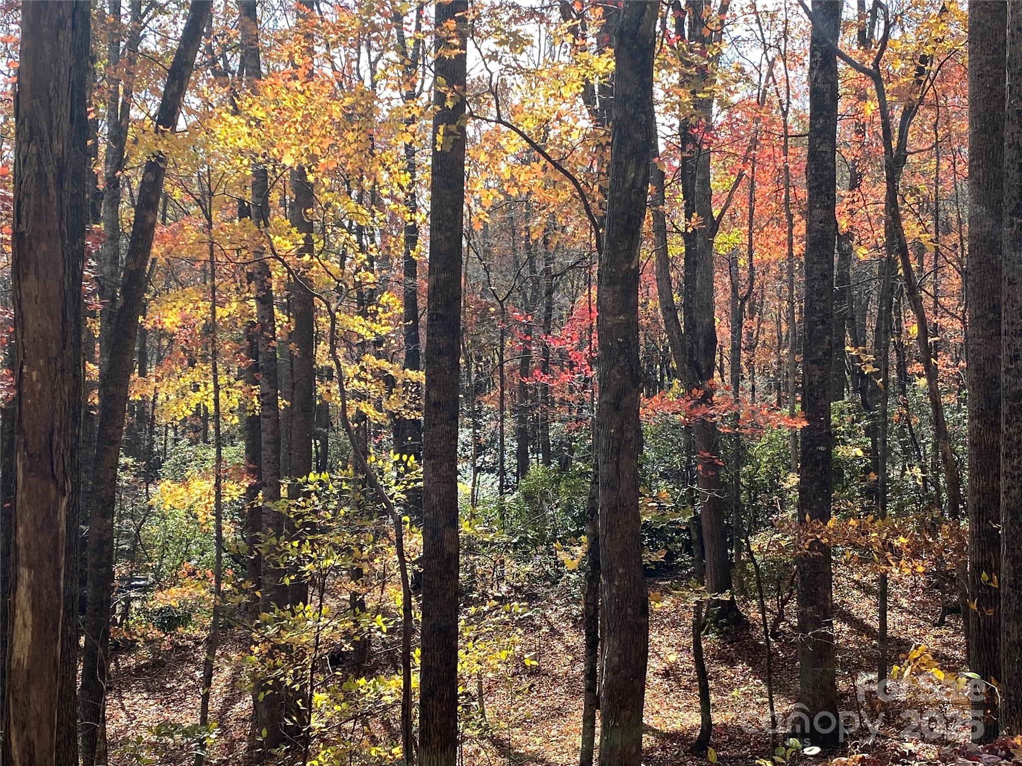 713 White Oak Creek Road