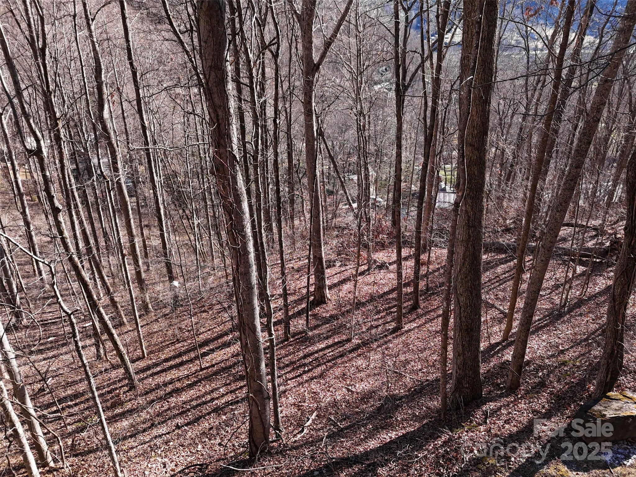 0000 Greenview Drive