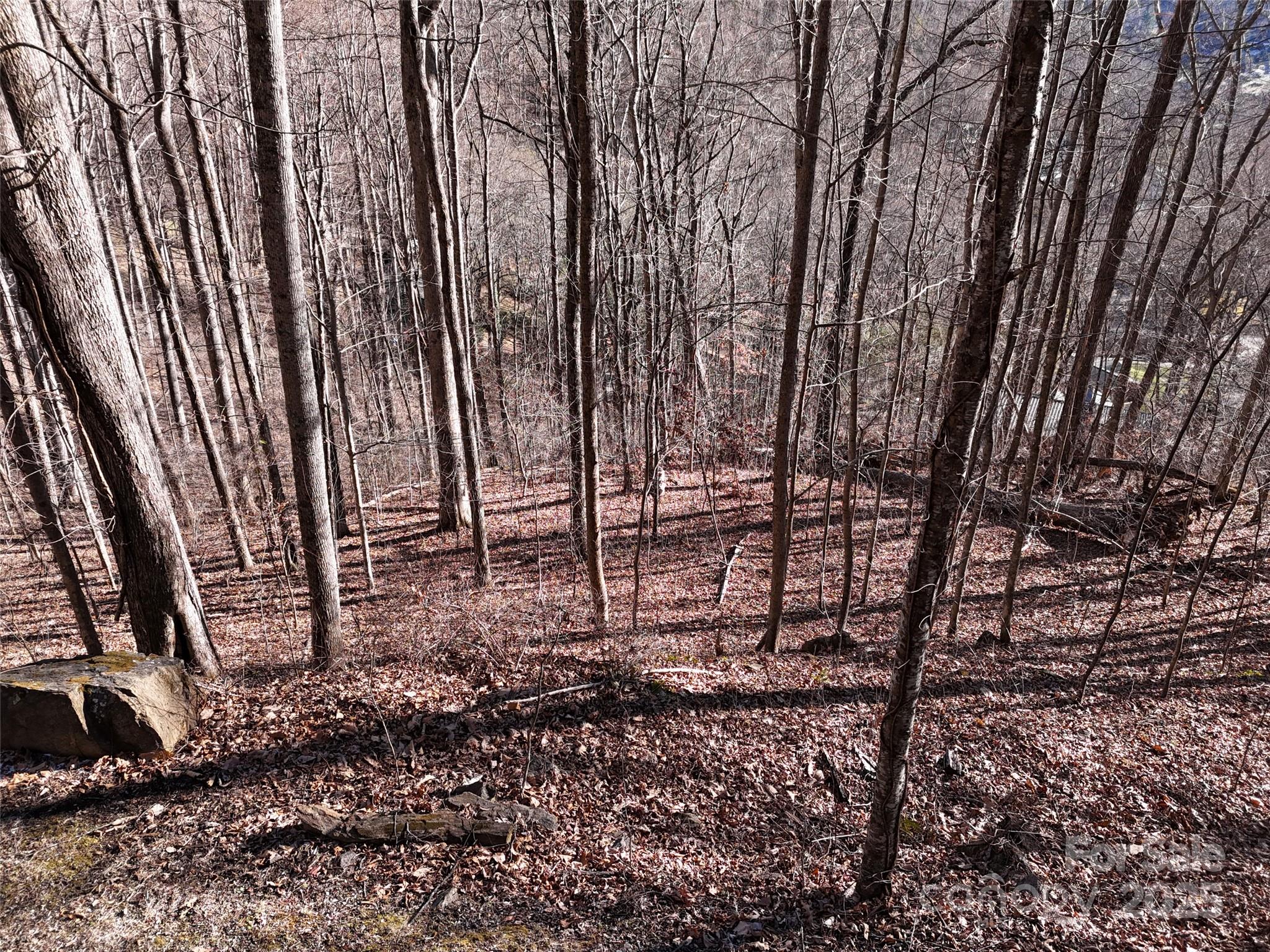 0000 Greenview Drive