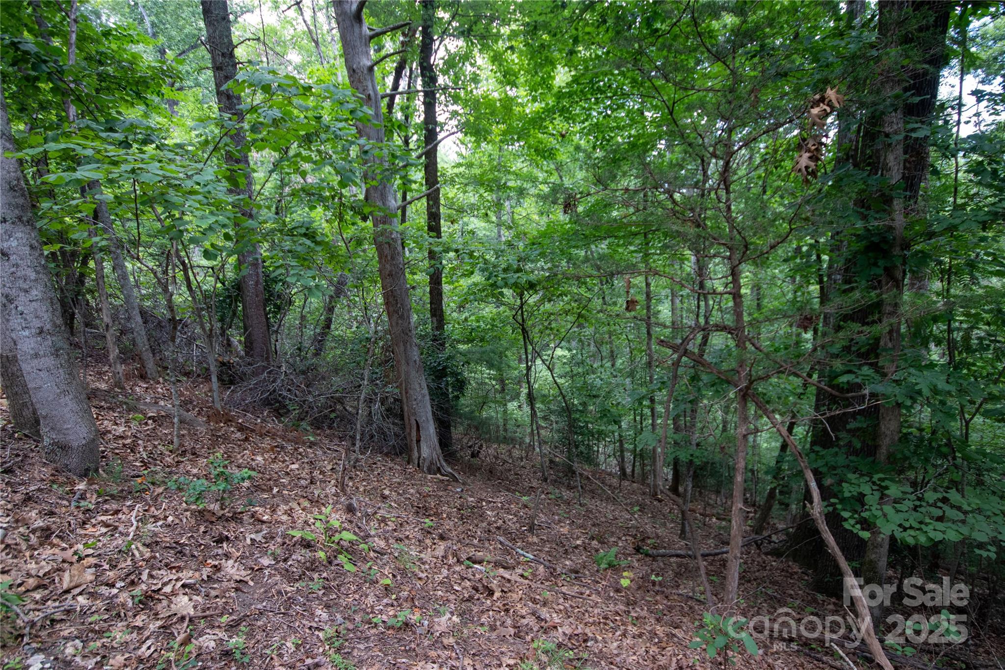 LOT 97 Cedar Crest Drive 97