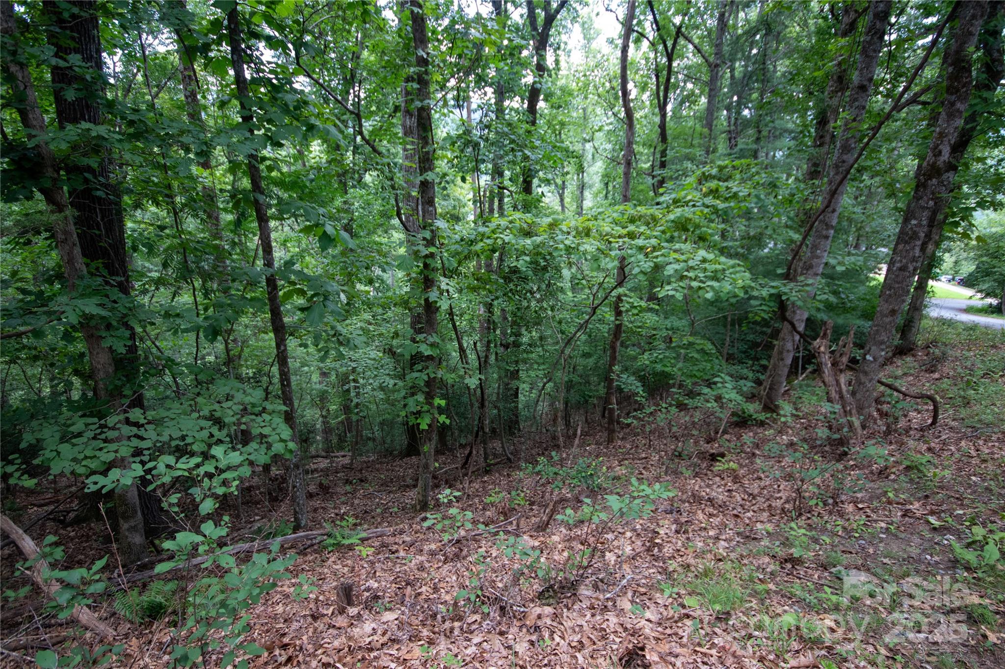 LOT 97 Cedar Crest Drive 97