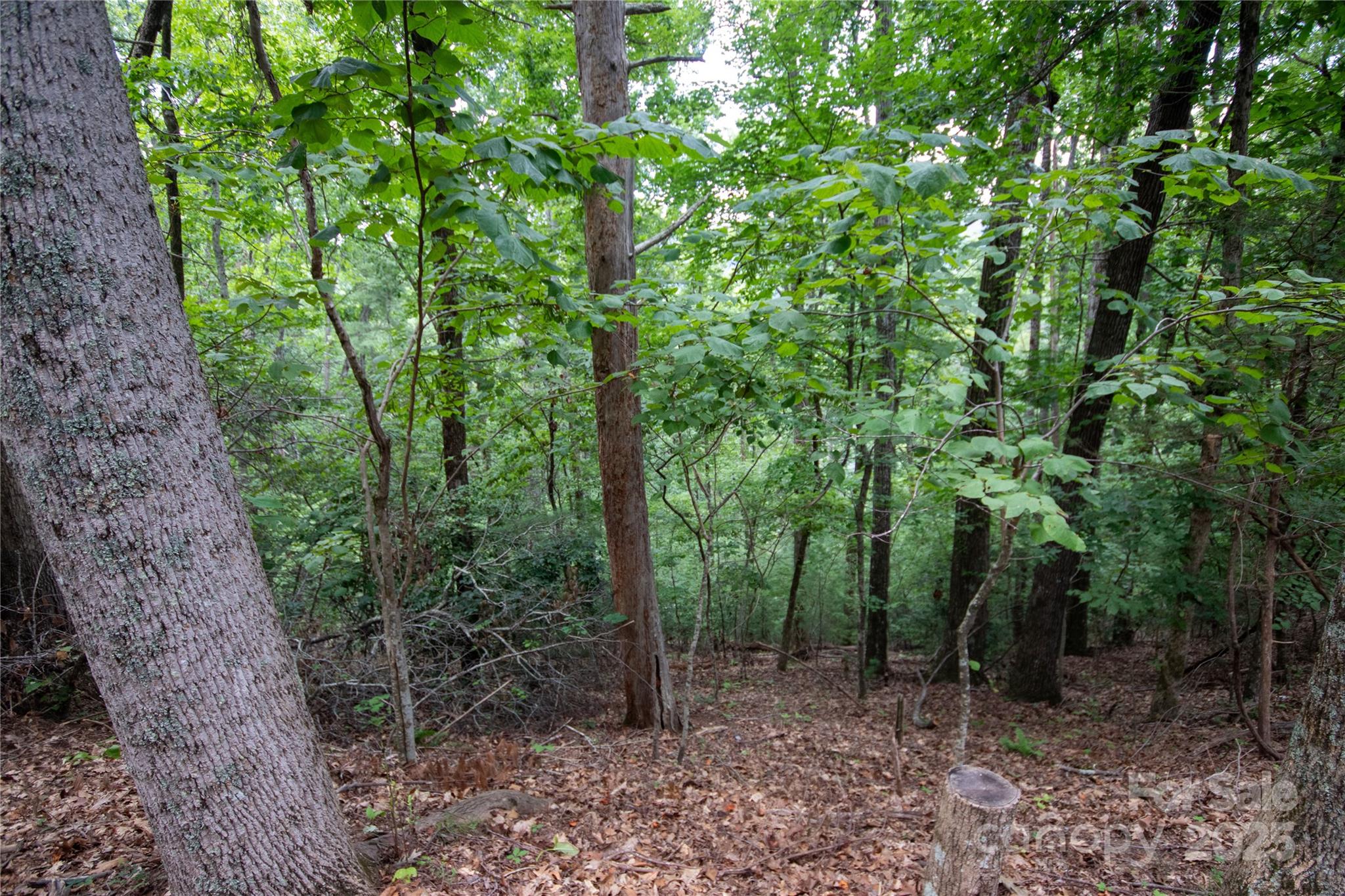 LOT 97 Cedar Crest Drive 97