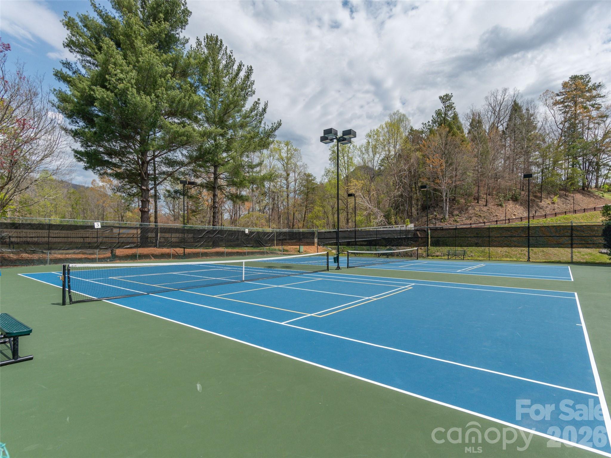 Rumbling Bald on Lake Lure - Residential