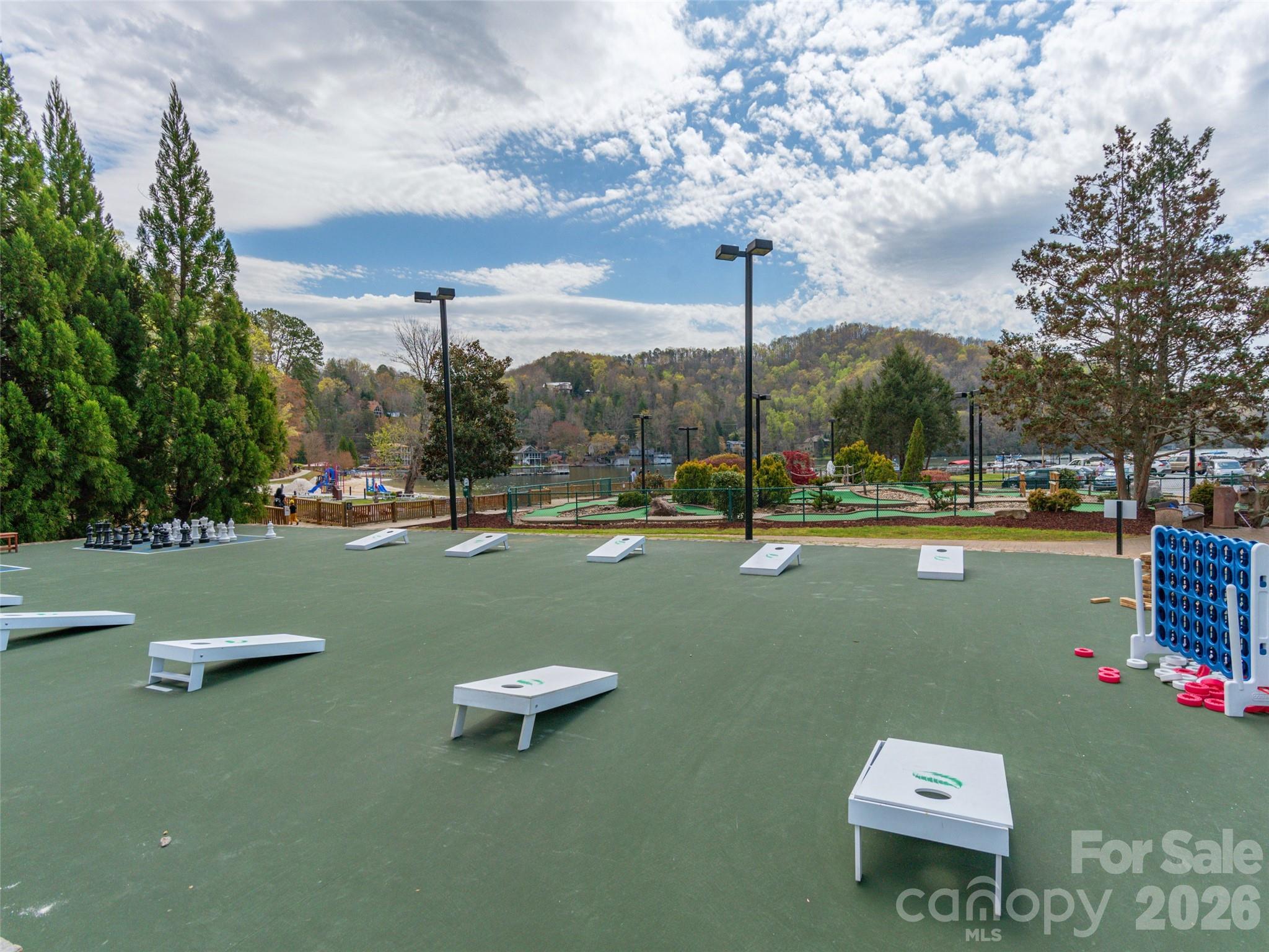 Rumbling Bald on Lake Lure - Residential