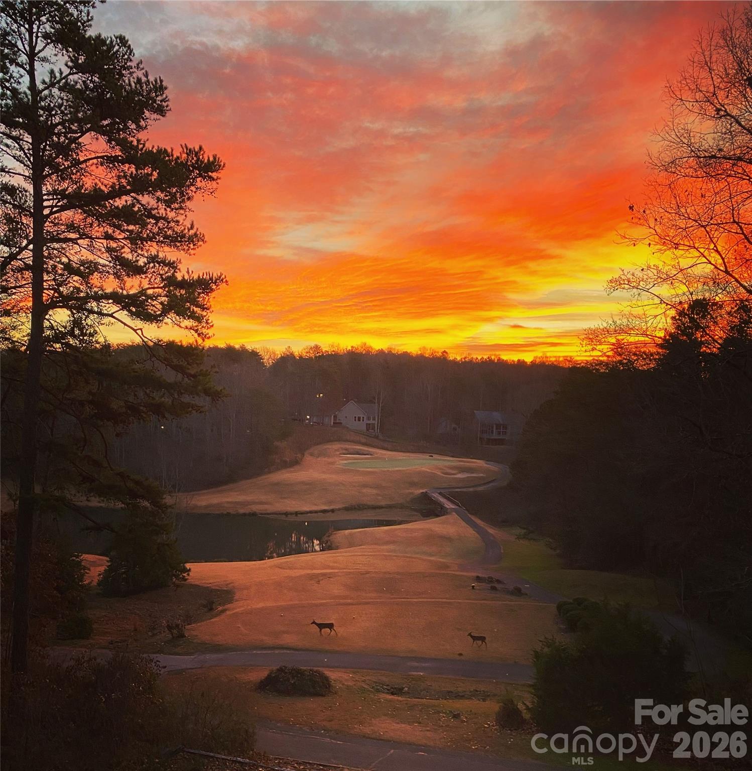 172 Summer Morning Court