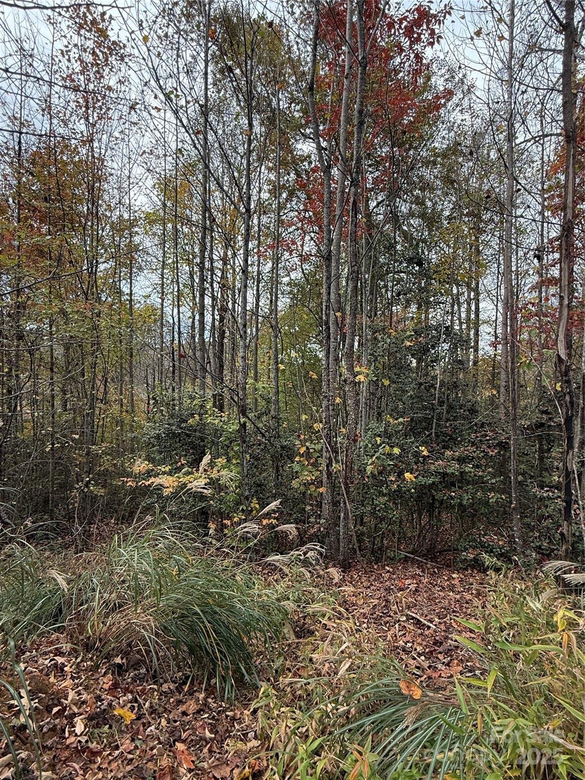 Lot # 7 West Legacy Drive 7