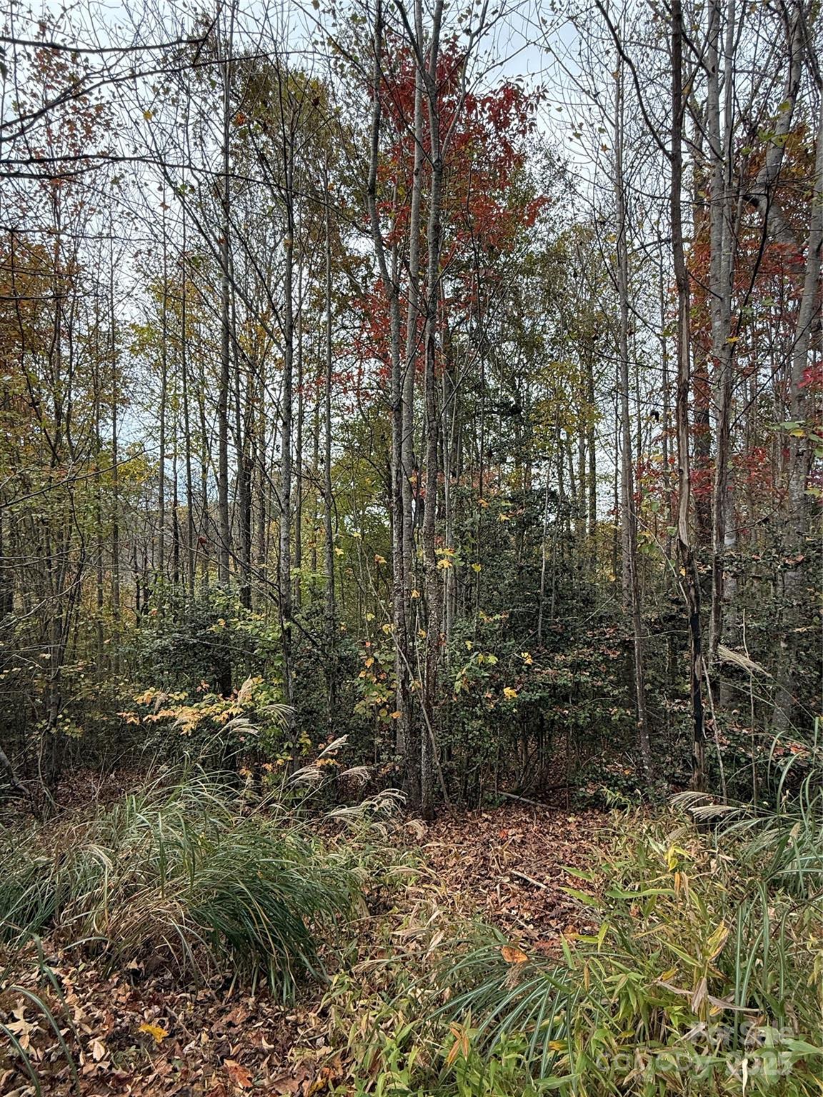 Lot # 7 West Legacy Drive 7