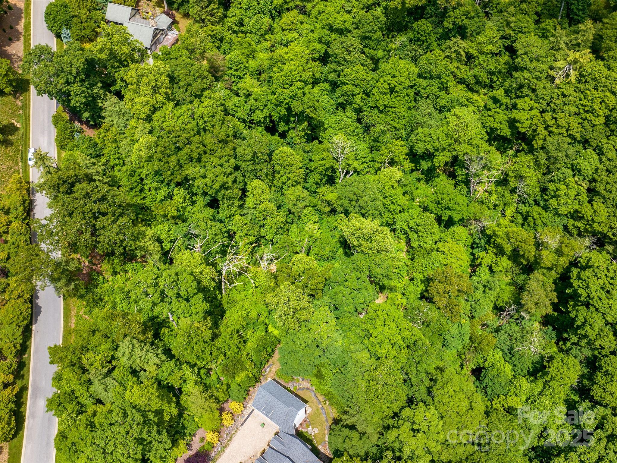 209 Senator Reynolds Road