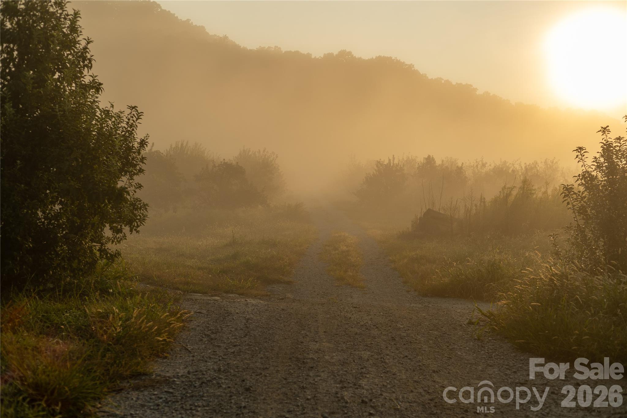 TBD Old Clear Creek Road