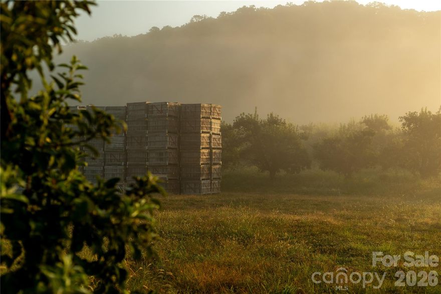 **PRICE IMPROVEMENT**
50+/- Ac Working Apple Orchard in Hendersonville! Don’t miss this amazing opportunity to own one of the area's most cherished family farms, right here in the heart of North Carolina’s apple country. With a rich legacy of family farming, this generational property is more than just a piece of land, it's a testament to the spirit of homesteading, stewardship and hard work. This picturesque apple orchard features gently rolling hills & unbelievable long range views just minutes from Asheville, Hendersonville & Lake Lure. Whether you dream of having your very own farmstead or seek to develop this rapidly growing area, this idyllic farm offers endless possibilities. Subdivide it into individual lots, build a luxurious mountain estate or simply invest in the land and preserve it as a thriving orchard. This property will only increase in value as this area grows in popularity. HIGHLY motivated seller says bring all offers! Don’t wait! Call today.