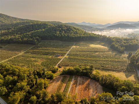 TBD Old Clear Creek Road Hendersonville NC 28792