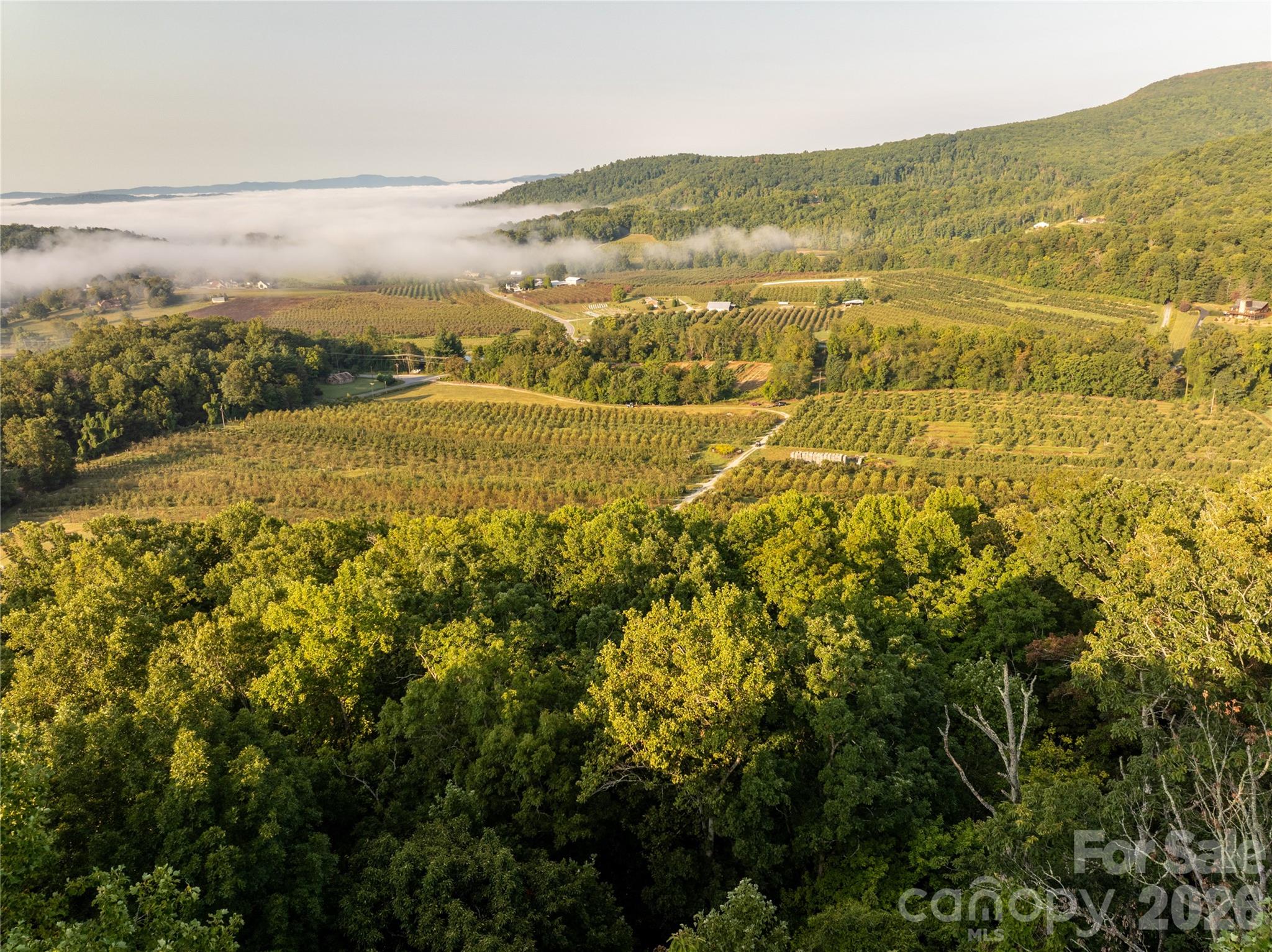 TBD Old Clear Creek Road