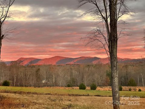 225 Zeb Road Union Grove NC 28689