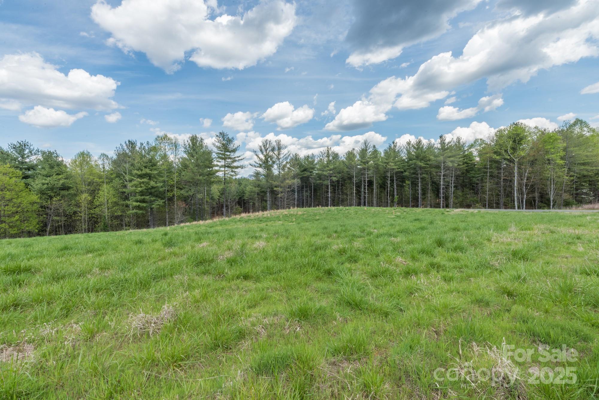The Arbor at Lake James - Land