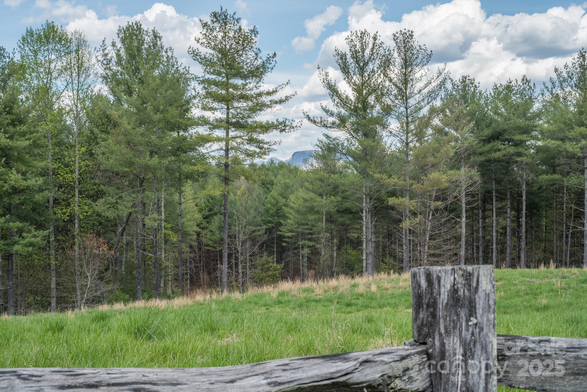 The Arbor at Lake James - Land