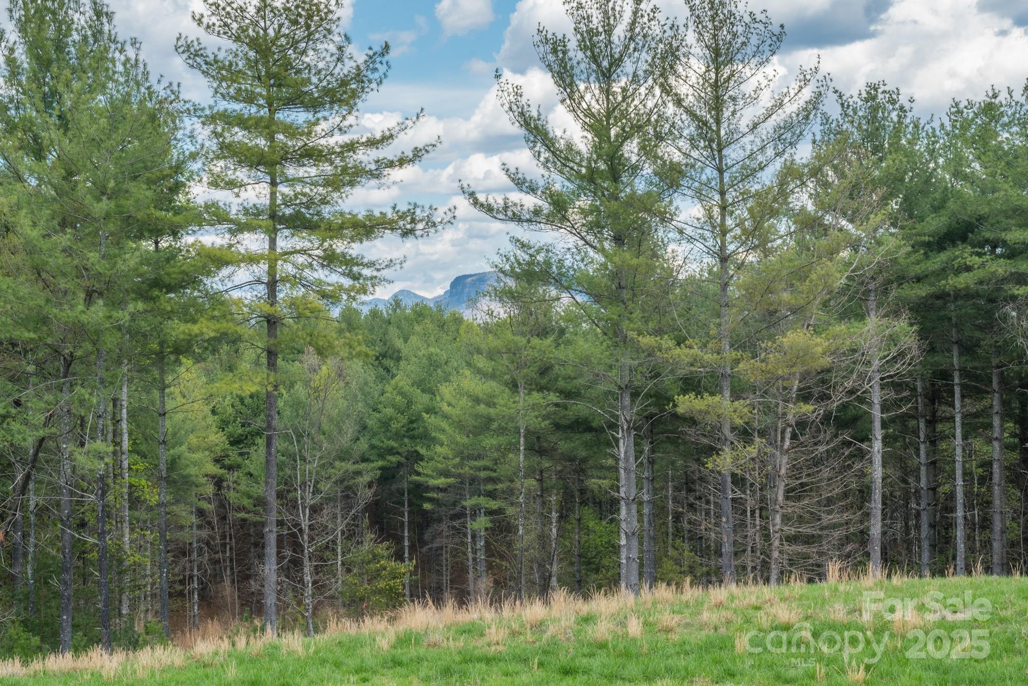 The Arbor at Lake James - Land