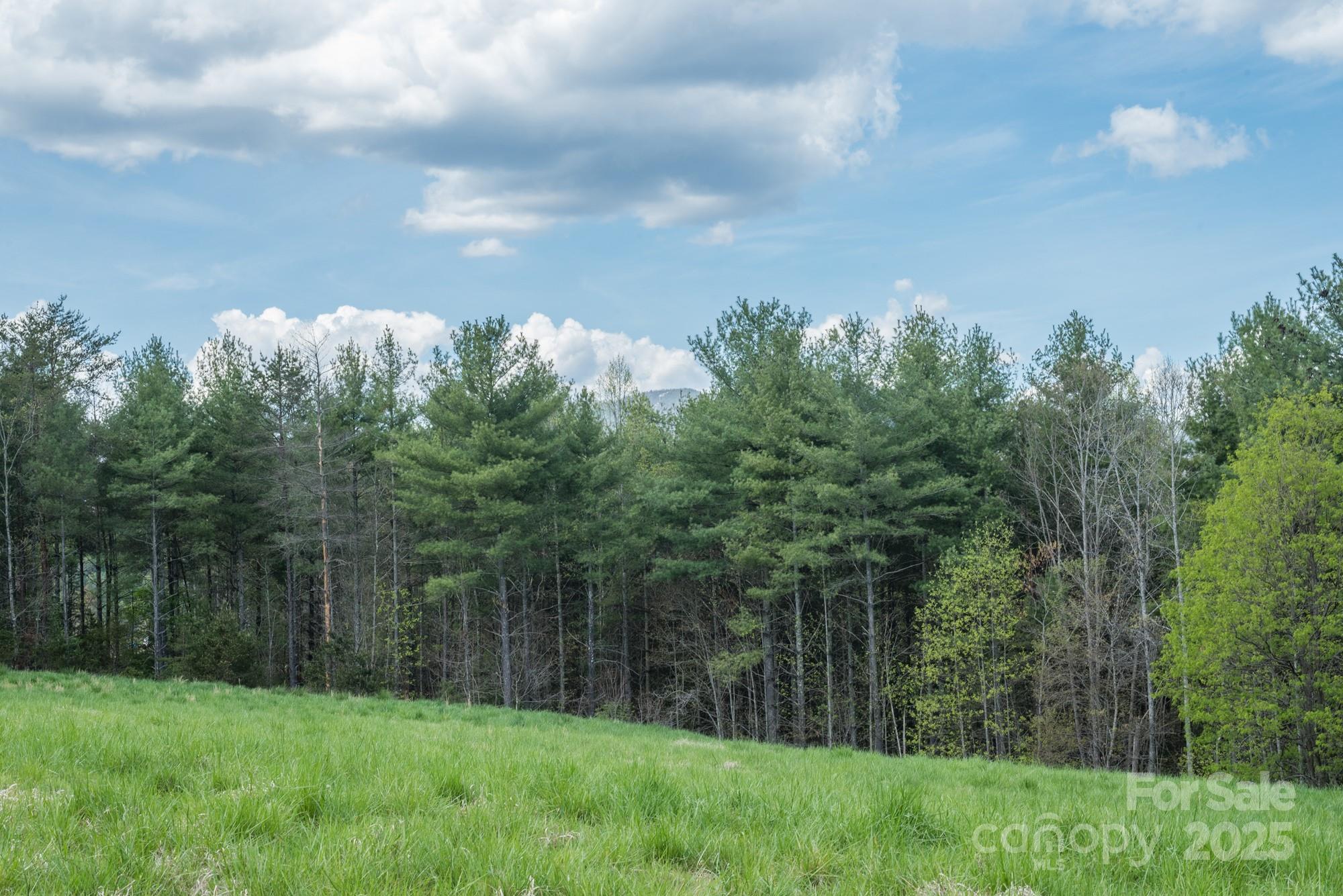 The Arbor at Lake James - Land