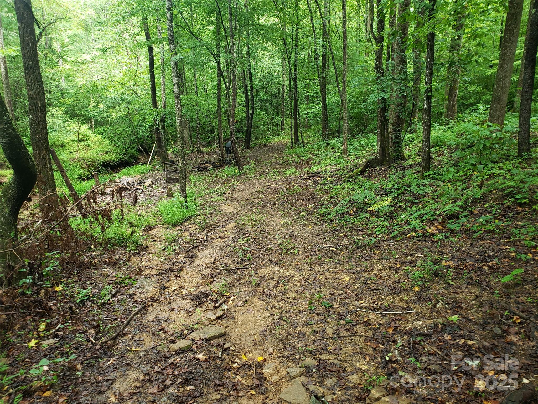 00 Luckadoo Mountain Road