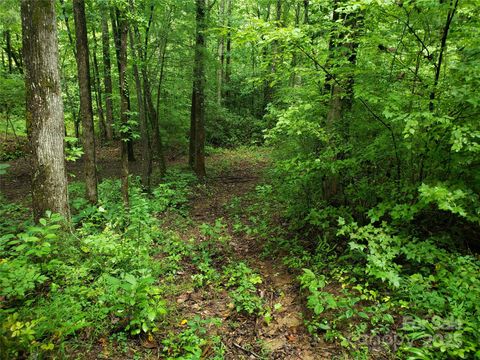 00 Luckadoo Mountain Road Bostic NC 28018
